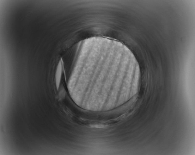 X0000087590137200705251909