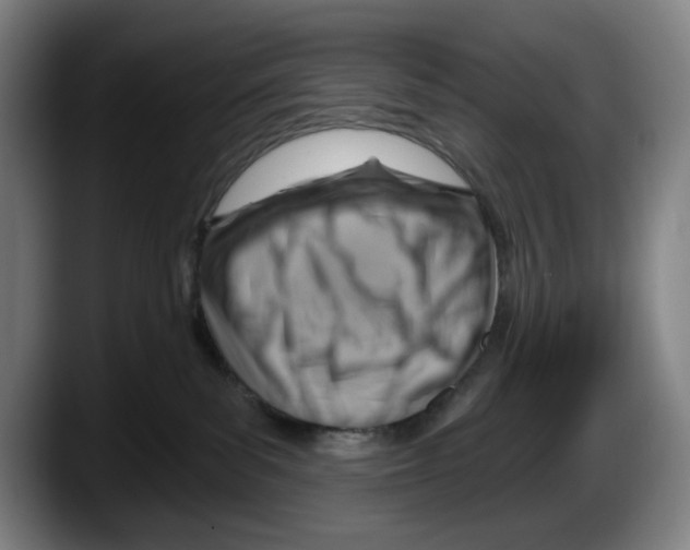 X0000087590139200705251909