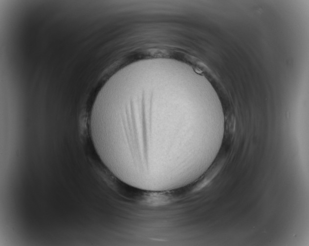 X0000087590141200705251909