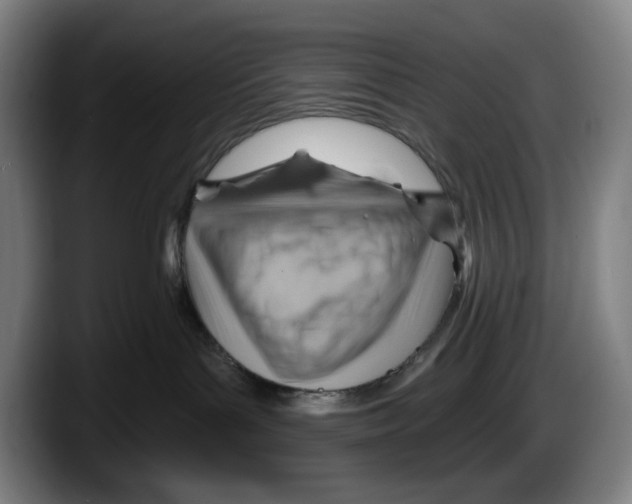 X0000087590143200705251909