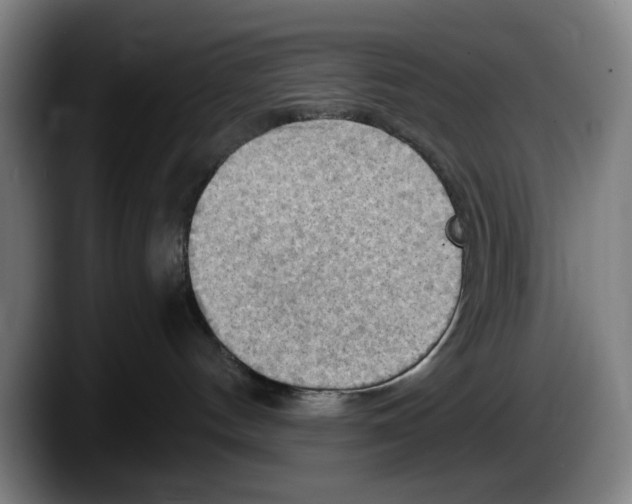 X0000087590144200705251909