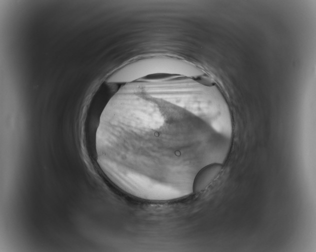 X0000087590145200705251909