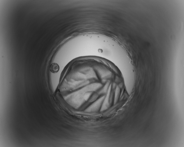 X0000087590146200705251909
