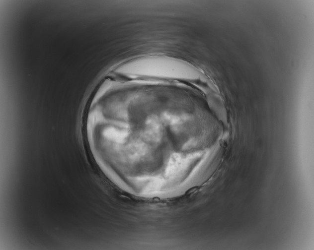 X0000087590147200705251909