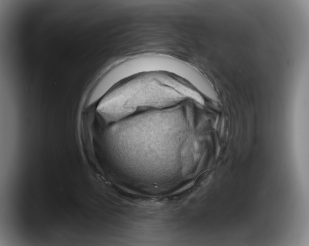 X0000087590148200705251909