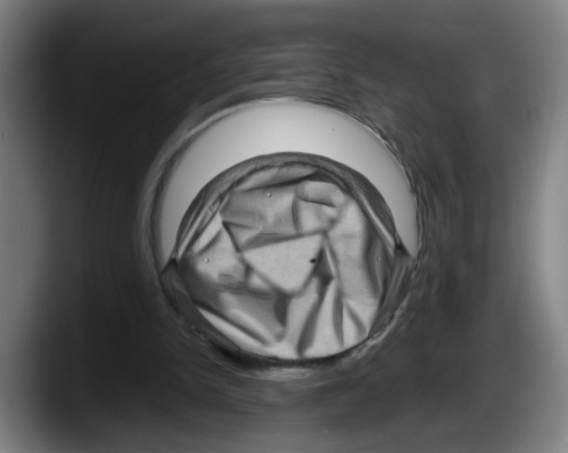 X0000087590150200705251909