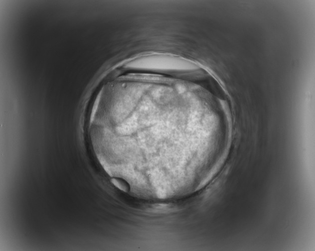 X0000087590151200705251909