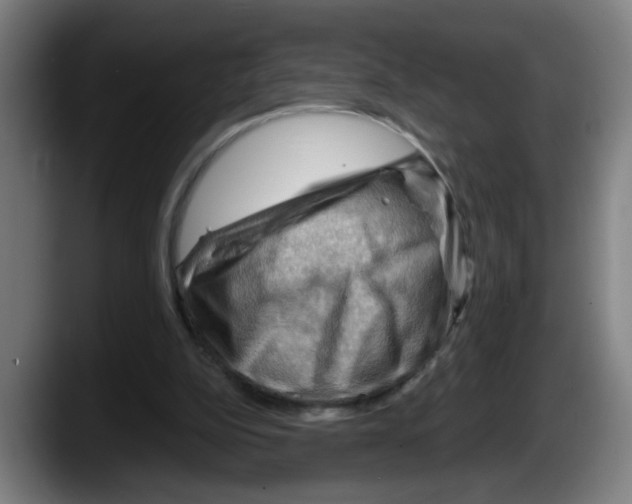 X0000087590152200705251909