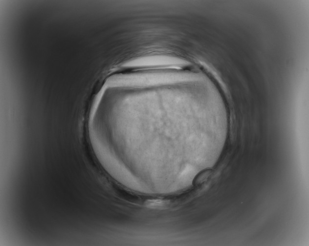 X0000087590153200705251909