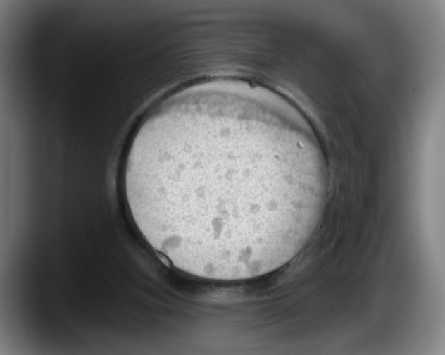 X0000087590155200705251909