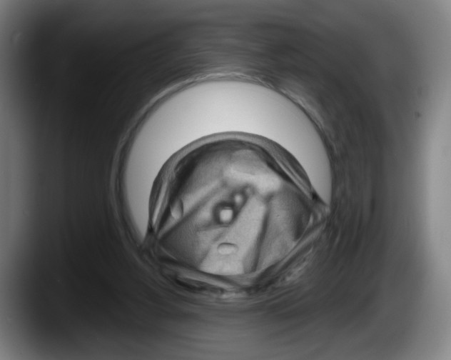 X0000087590156200705251909