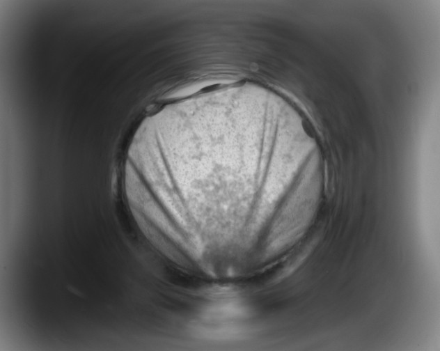 X0000087590157200705251909