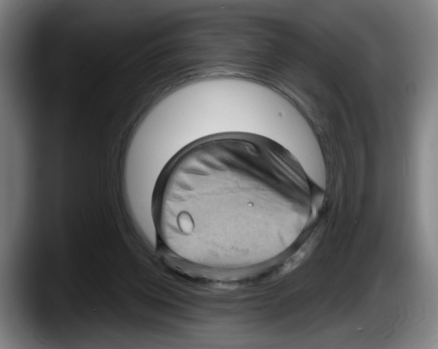 X0000087590158200705251909