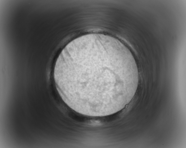 X0000087590159200705251909