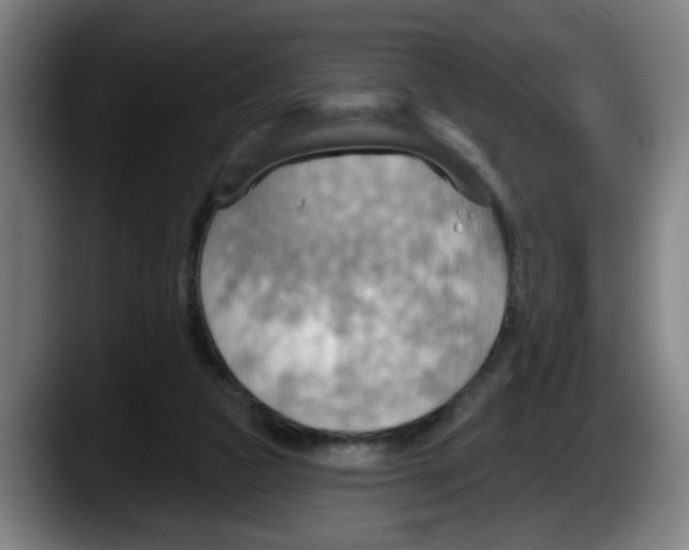 X0000087590161200705251909