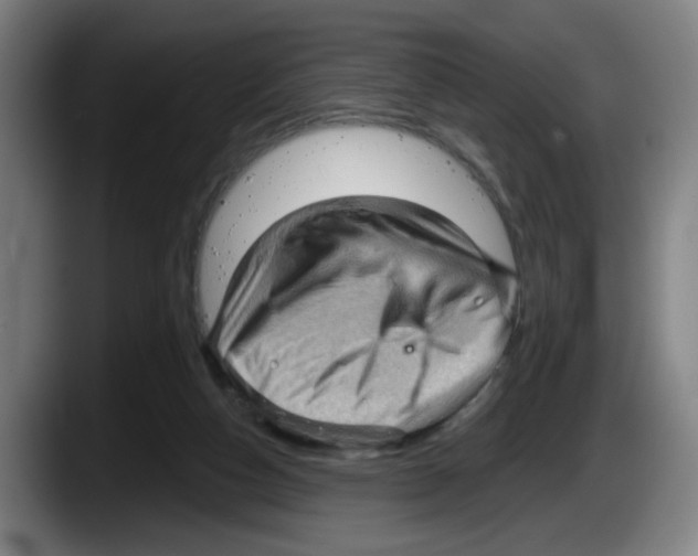 X0000087590162200705251909