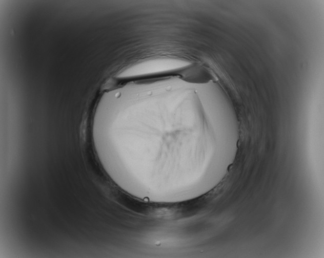 X0000087590163200705251909