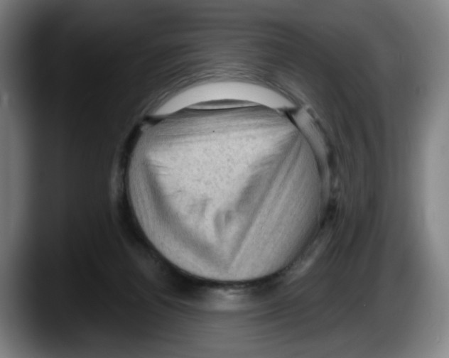 X0000087590164200705251909