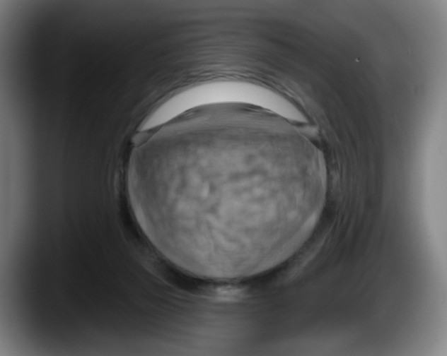 X0000087590165200705251909