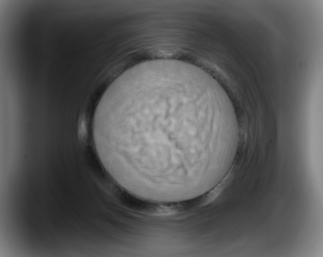 X0000087590166200705251909