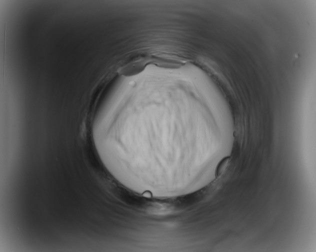 X0000087590167200705251909