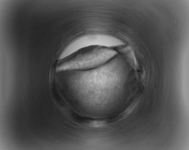 X0000087590168200705251909