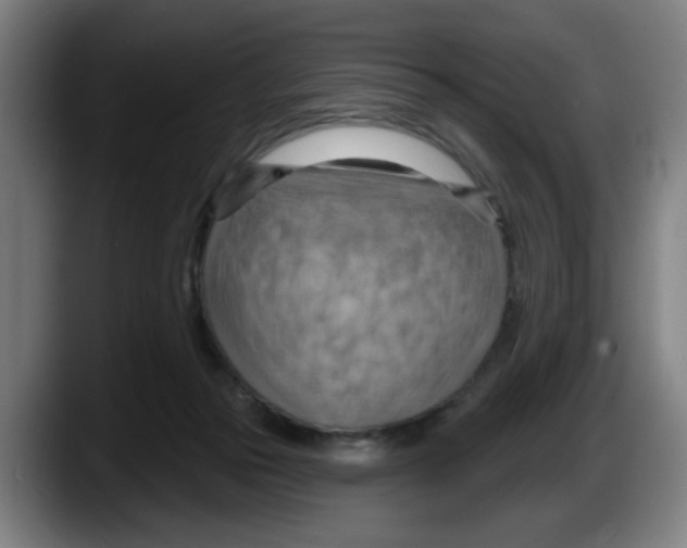 X0000087590169200705251909