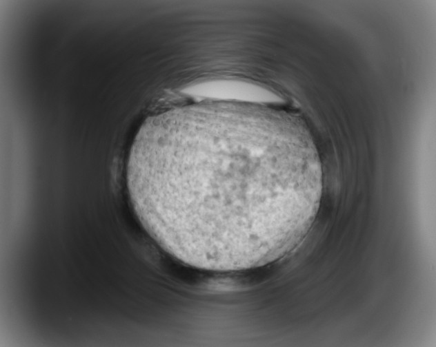 X0000087590171200705251909