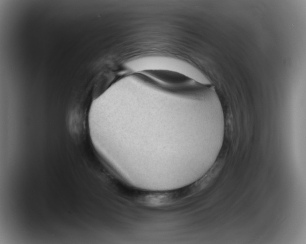 X0000087590172200705251909