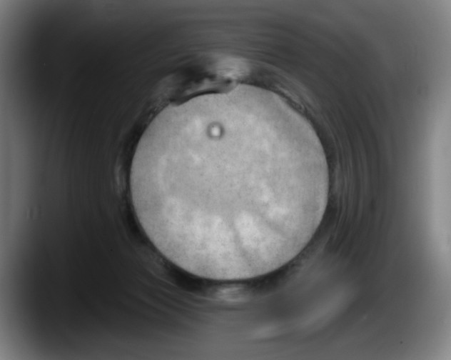 X0000087590173200705251909