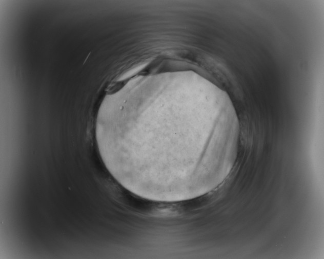 X0000087590175200705251909