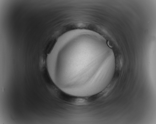 X0000087590176200705251909