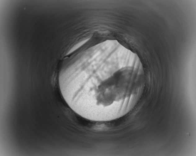 X0000087590177200705251909