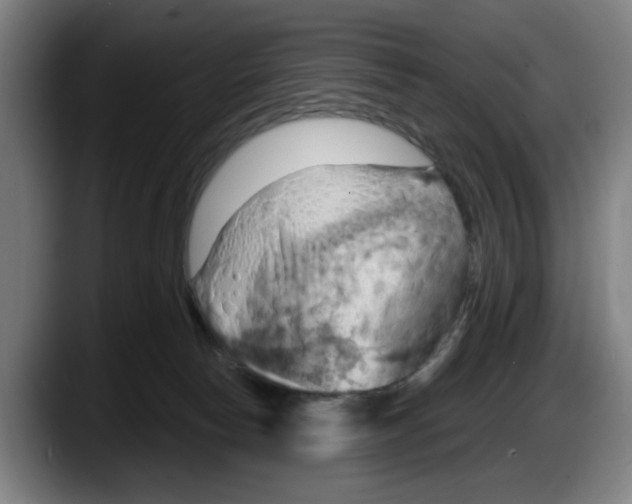 X0000087590178200705251909