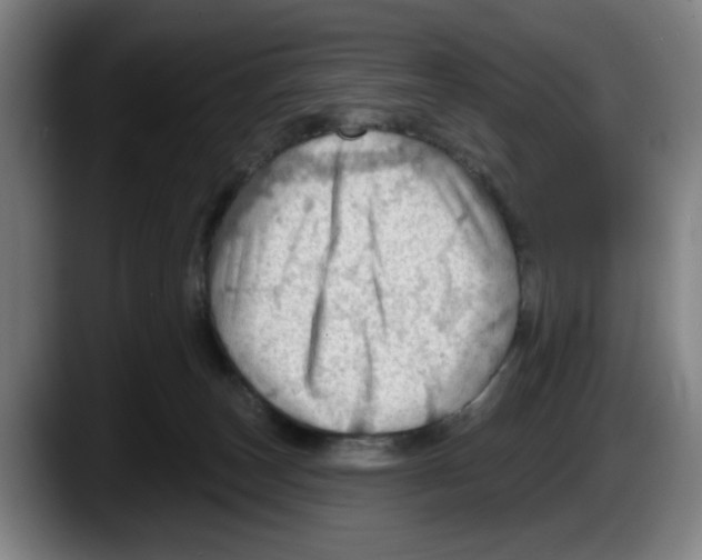 X0000087590179200705251909