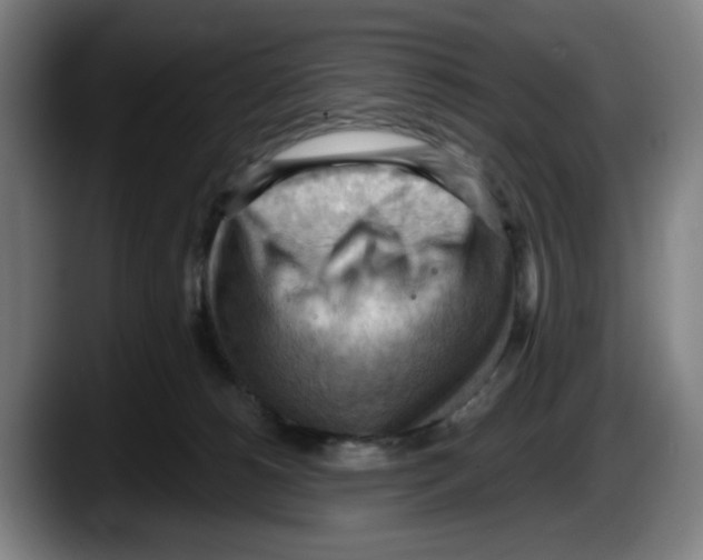 X0000087590180200705251909