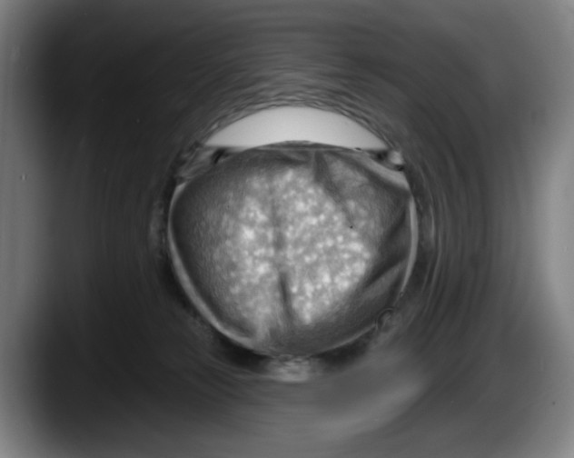 X0000087590181200705251909