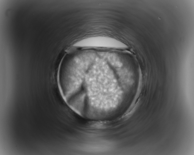 X0000087590182200705251909