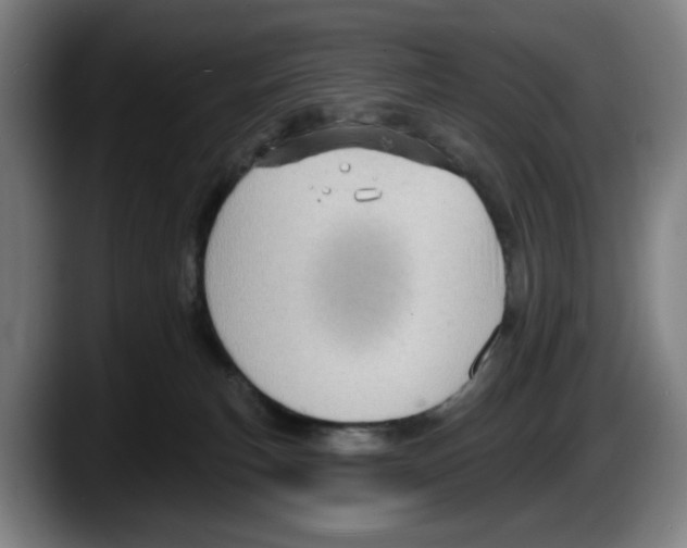 X0000087590183200705251909
