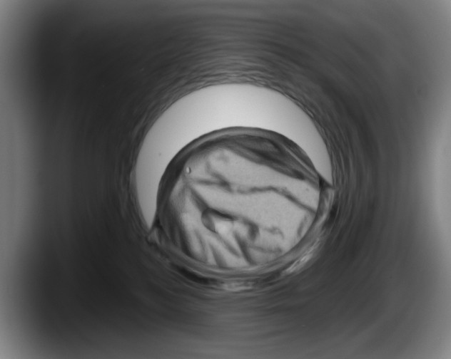 X0000087590184200705251909