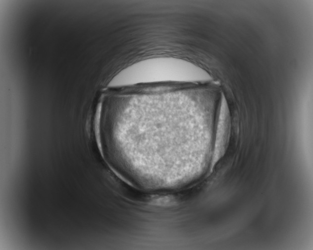 X0000087590185200705251909