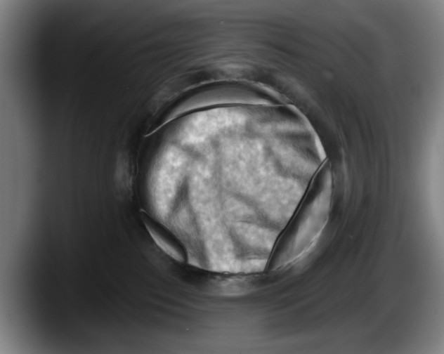 X0000087590186200705251909
