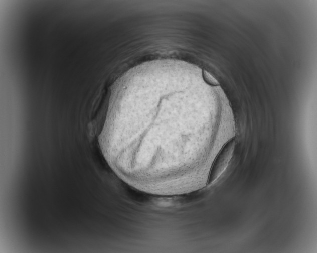 X0000087590187200705251909