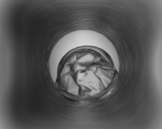 X0000087590188200705251909