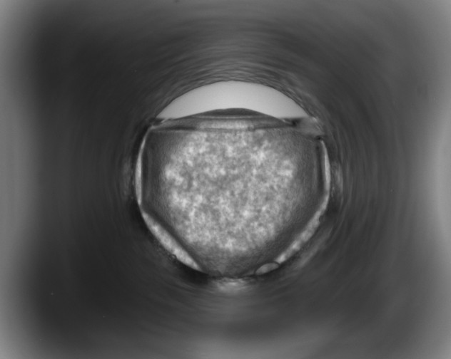 X0000087590189200705251909