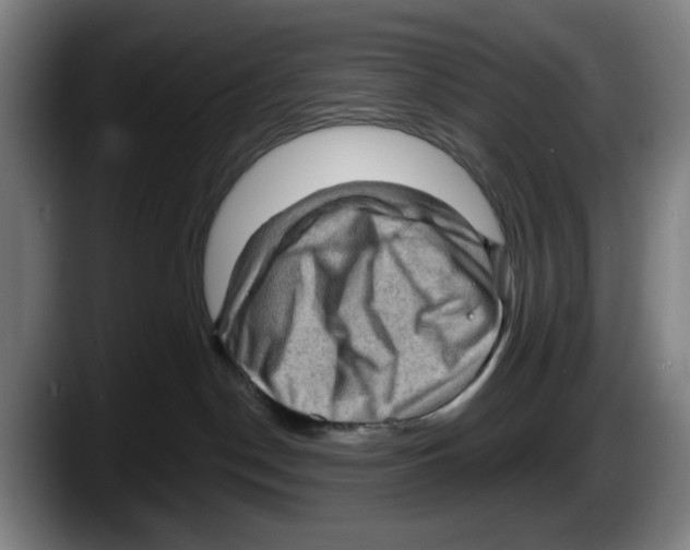 X0000087590190200705251909