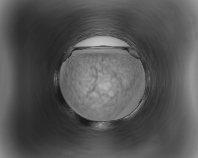 X0000087590191200705251909