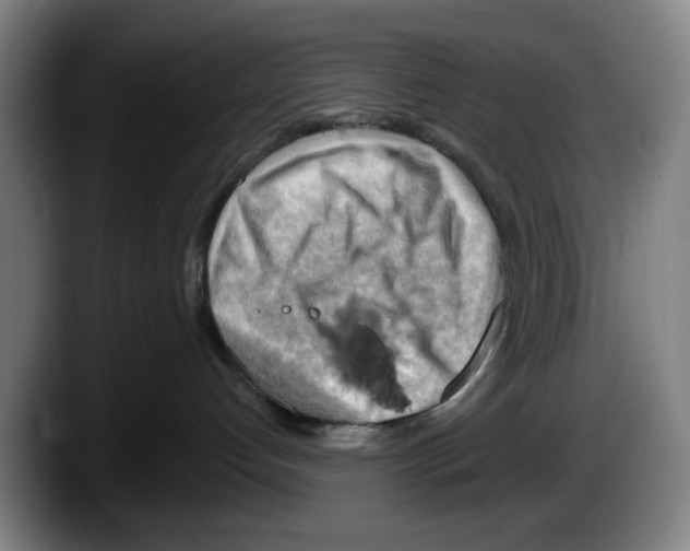 X0000087590192200705251909
