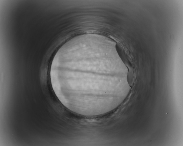 X0000087590194200705251909