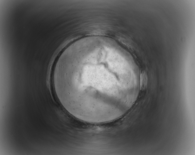 X0000087590195200705251909